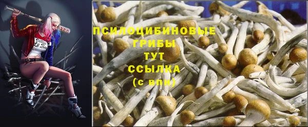 гашишное масло Алексеевка