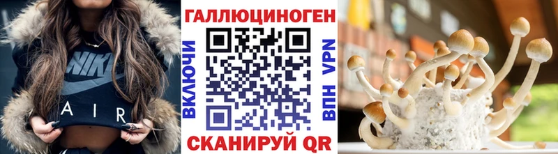 Псилоцибиновые грибы Psilocybe  купить наркотик  Владикавказ 