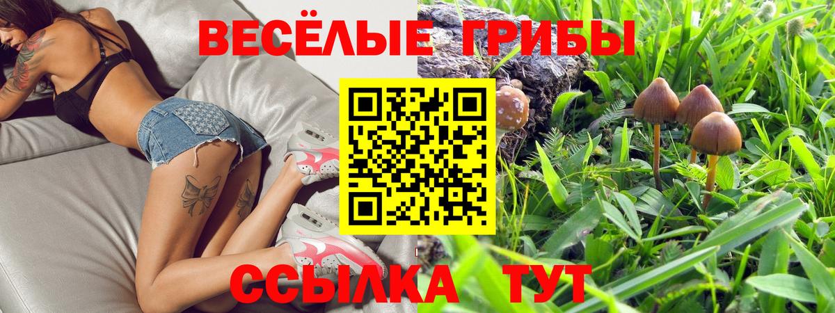 Владикавказ  цена   Вход с VPN  Галлюциногенные грибы Psilocybine cubensis 